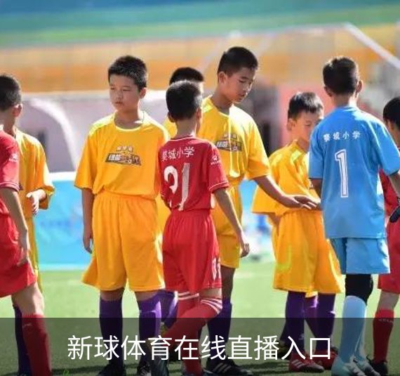 走进新球体育在线直播入口